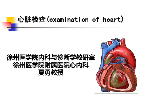 心脏检查examinationofheart