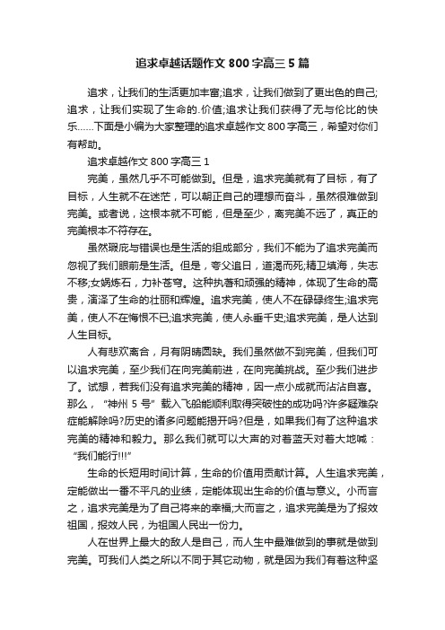 追求卓越话题作文800字高三5篇