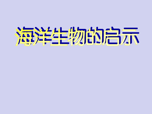 六年级下册综合实践活动课件-海洋生物的启示 全国通用