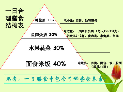 第4章 代谢与平衡 复习(课件 27张PPT)