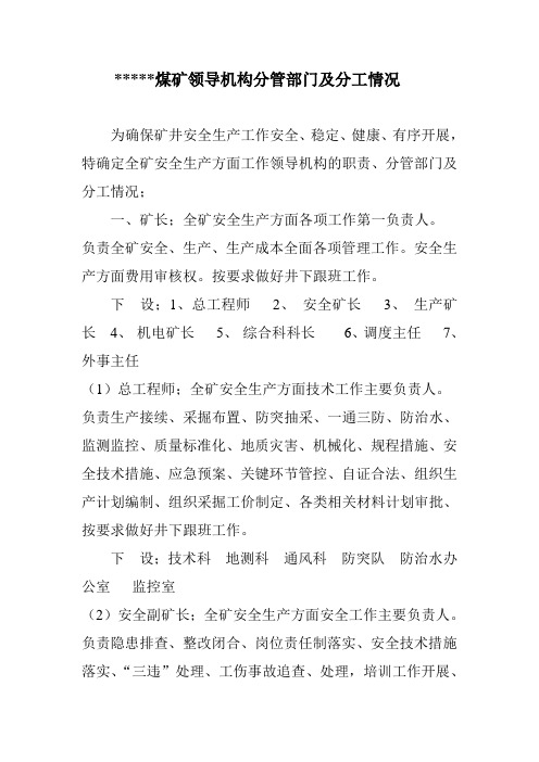 煤矿领导机构分管部门及分工情况