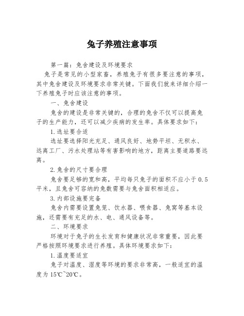 兔子养殖注意事项3篇