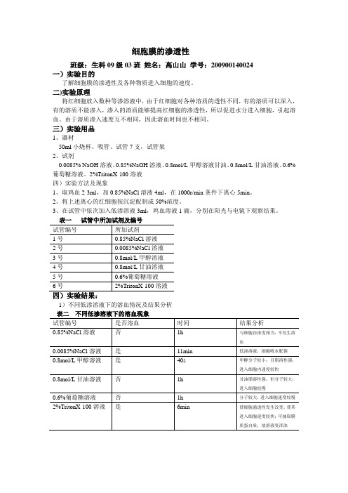 细胞膜的通透性