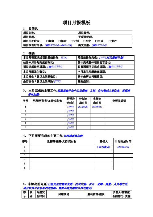 项目月报模板