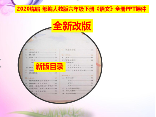 最新部编人教版六年级下册《语文》全册全套ppt课件【统编版-2020最新推荐】