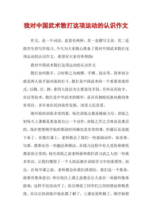 我对中国武术散打这项运动的认识作文