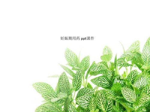 妊娠期用药 ppt课件