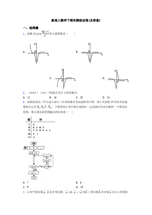 新高三数学下期末模拟试卷(及答案)