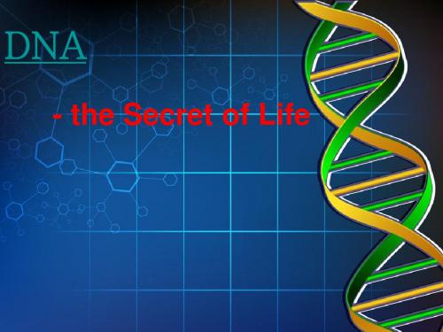 外研版高中英语选修9《Module 2 DNA the secret of life》课件