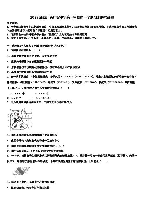 2025届四川省广安中学高一生物第一学期期末联考试题含解析