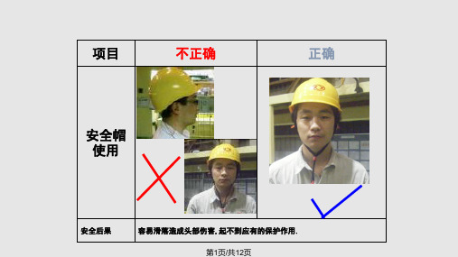 劳保用品穿戴使用标准PPT课件