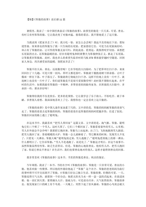 《笨狼的故事》读后感11篇(最新)