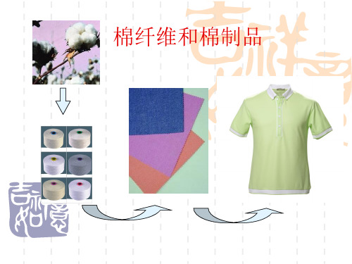 服装面料课件：棉纤维