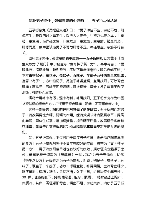 调补男子冲任，强健宗筋的中成药——五子衍...强龙汤