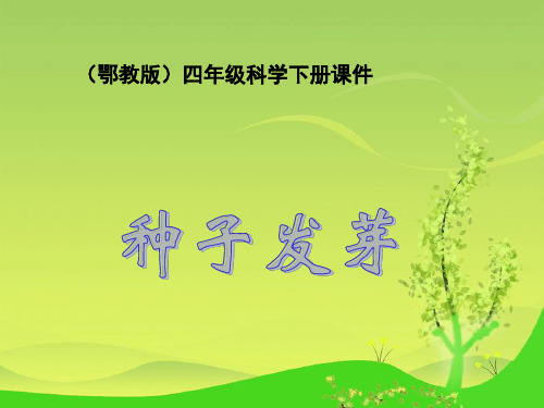《种子发芽》ppt课件(6篇)