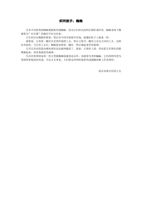 织网能手:蜘蛛