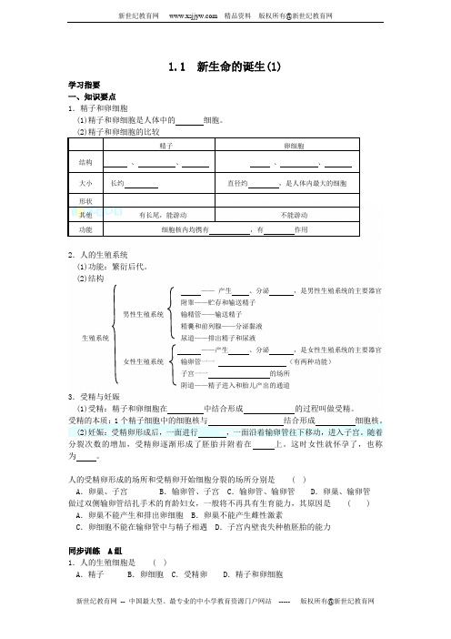 1.1新生命的诞生