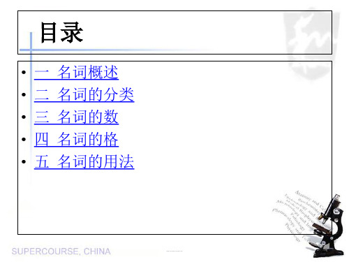 初中英语名词ppt终版课件