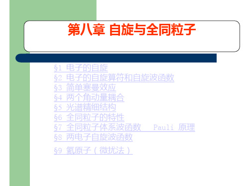 量子力学第八章-自旋与全同粒子-郭华忠