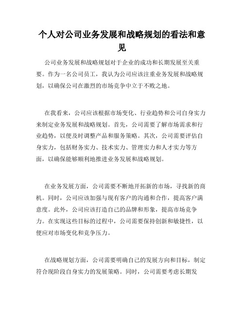 个人对公司业务发展和战略规划的看法和意见