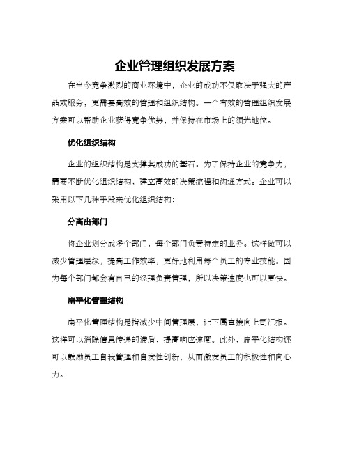 企业管理组织发展方案