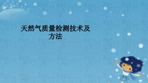 天然气质量检测技术及方法