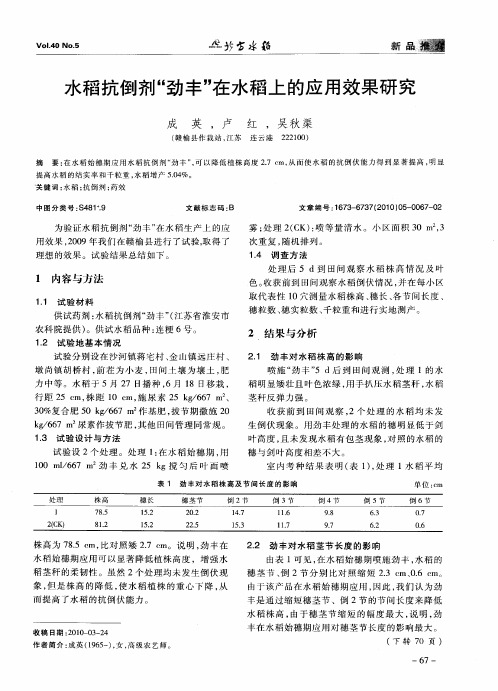 水稻抗倒剂“劲丰”在水稻上的应用效果研究