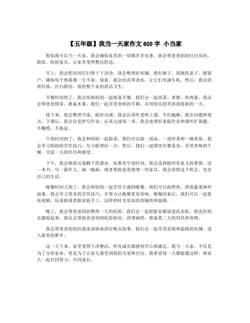 【五年级】我当一天家作文600字 小当家