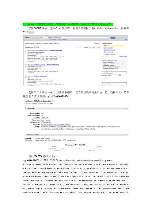 分子生物学作业