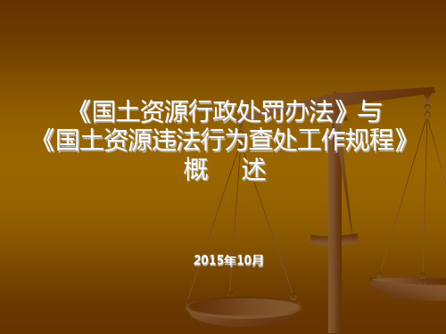 国土资源行政处罚及违法查处规程