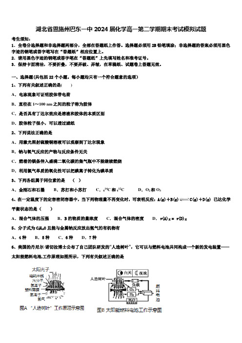 湖北省恩施州巴东一中2024届化学高一第二学期期末考试模拟试题含解析