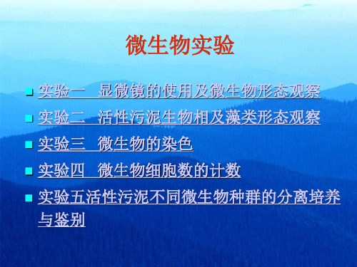 微生物实验实验一显微镜的使用及微生物形态观察