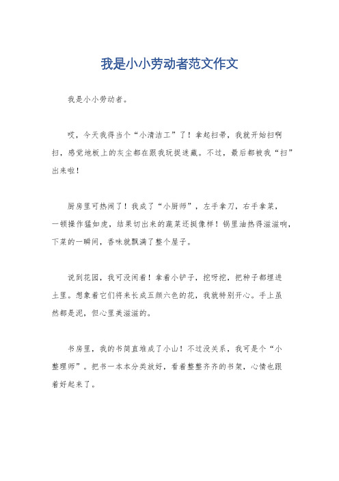 我是小小劳动者范文作文