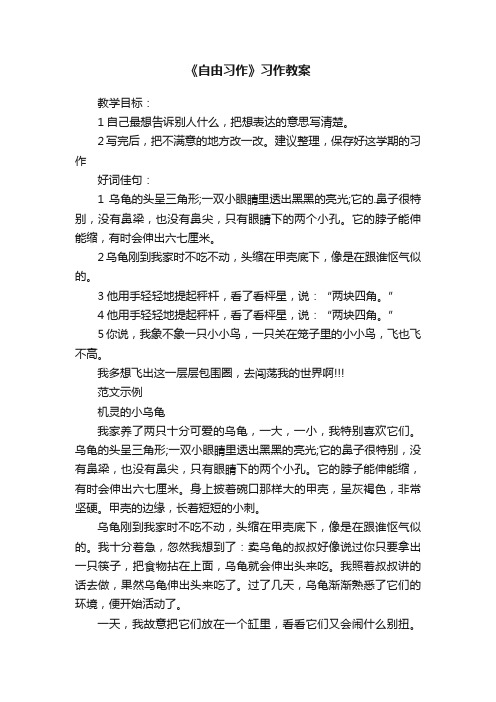 《自由习作》习作教案