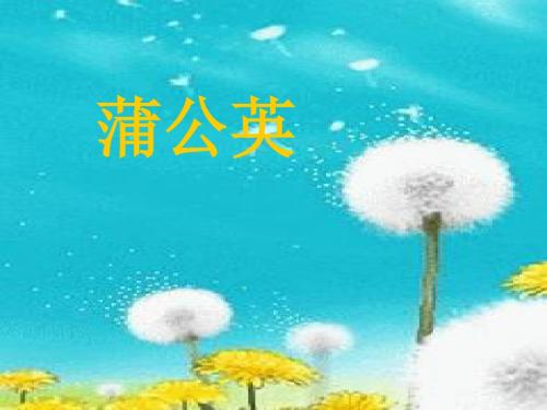 二年级上册语文课件-《蒲公英的种子》｜语文A版        (共27张PPT)