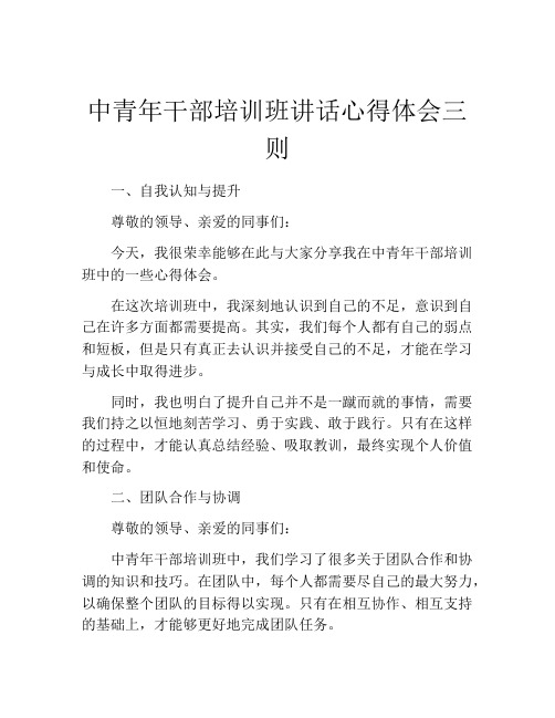 中青年干部培训班讲话心得体会三则