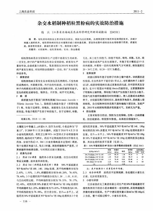 杂交水稻制种稻粒黑粉病的实效防治措施