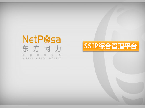 SSIP 演示文稿-修改版