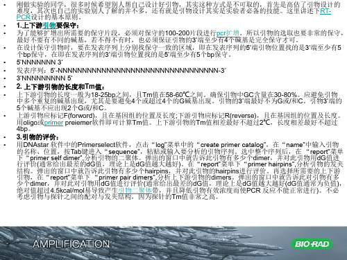 BIORAD荧光定量PCR原理和方法介绍