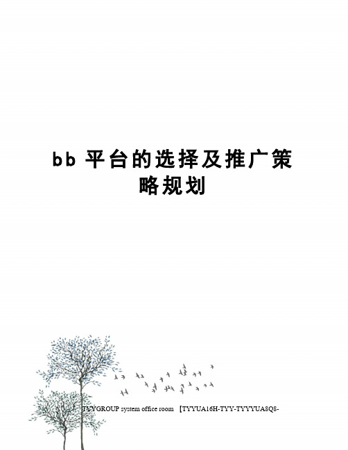 bb平台的选择及推广策略规划