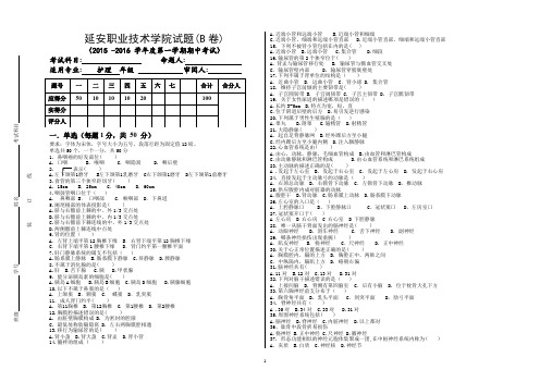 正常人体结构期末试题B卷