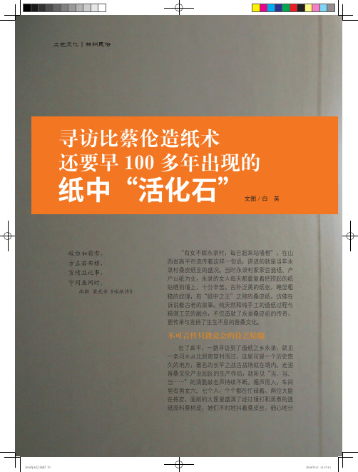 寻访比蔡伦造纸术还要早100多年出现的纸中“活化石”