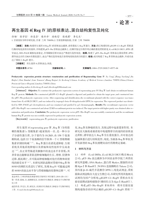 再生基因4(RegⅣ)的原核表达、蛋白结构复性及纯化