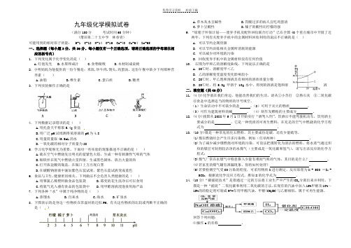 九年级化学模拟试卷及参考答案