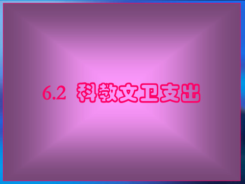 政治经济学之科教文卫支出(精品PPT课件共40页)