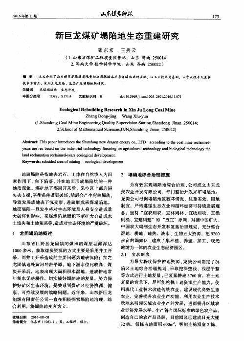 新巨龙煤矿塌陷地生态重建研究