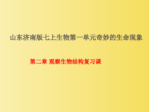 1-2观察生物结构复习课件2022--2023学年济南版生物七年级上册