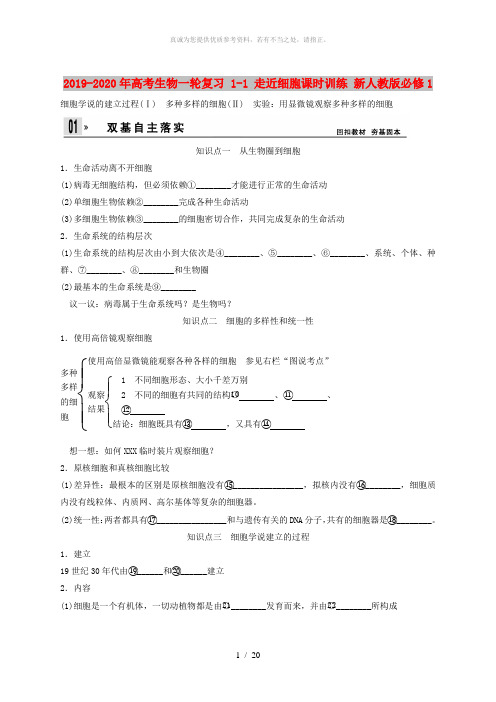 2019-2020年高考生物一轮复习 1-1 走近细胞课时训练 新人教版必修1