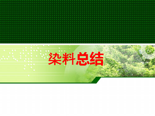 染料总结