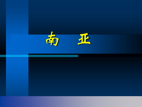 2022届高考地理一轮复习课件南亚